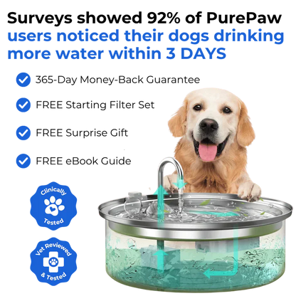 Health and Happiness Fountain Kit