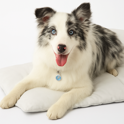 Dog Cooling Mat